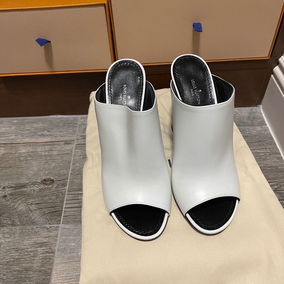 Louis Vuitton Shoe - Picture 1 of 4